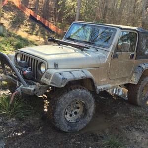 Meet your Posher, Tripp